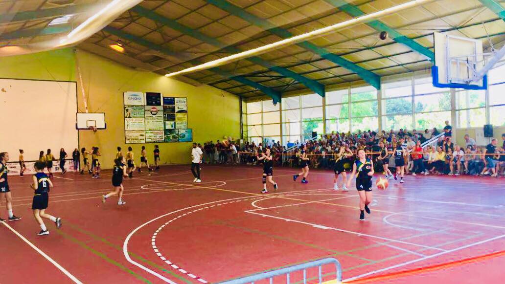 33098155_10216268332650551_4565158483090997248_n